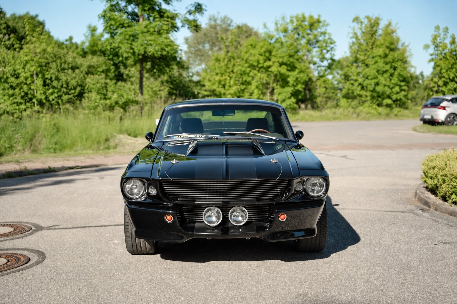 Ford Mustang Shelby GT500 Eleanor 3