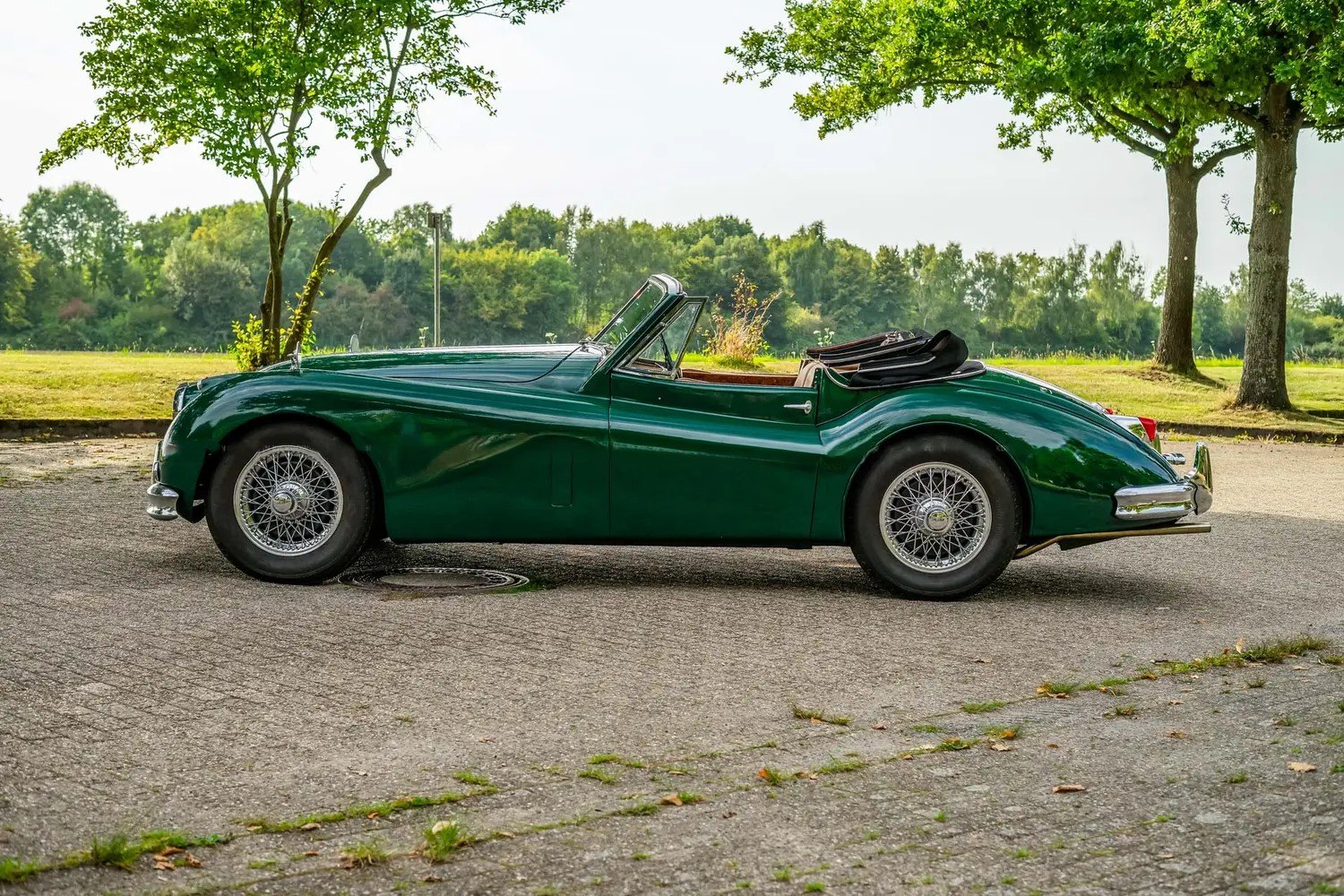 Jaguar XK140 Drophead Coupé 3