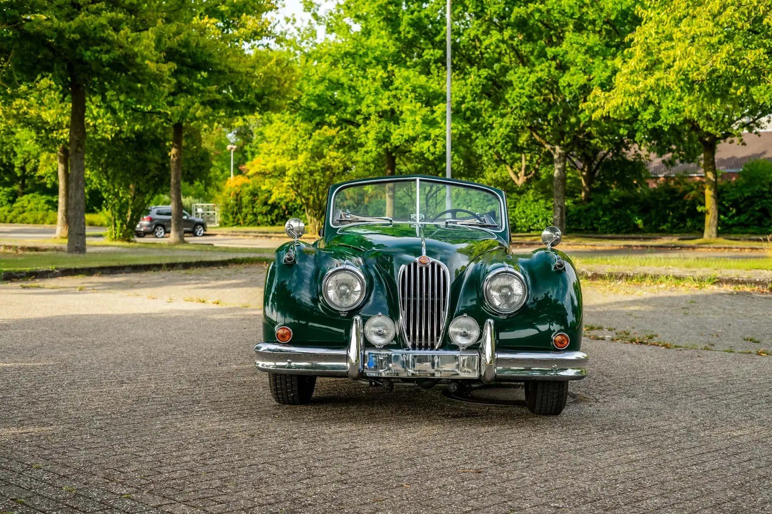 Jaguar XK140 Drophead Coupé 6