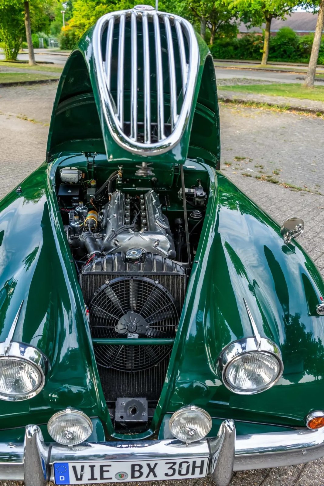 Jaguar XK140 Drophead Coupé 12